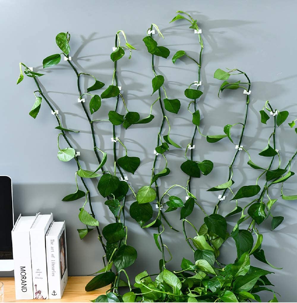 Multifunctional 3-IN-1 Plant Climbing Clips For Home, Garden & Office